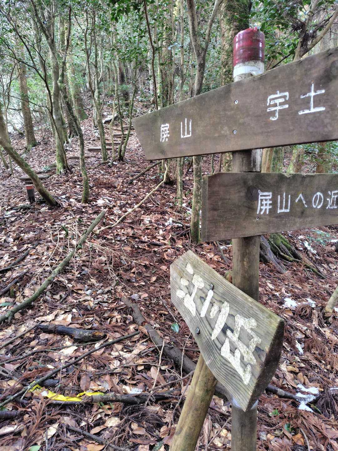 ここで、江川岳に向かいます。