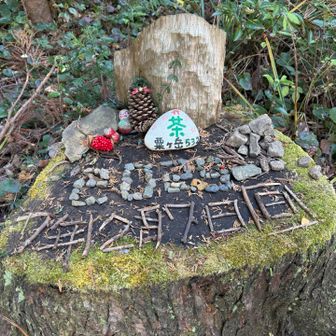 粟ヶ岳の自然物カレンダー🗓️

左上の赤い果実のような実、猛毒のマムシグサの実
です😱
誰が飾ったのやら😩
ヒヨドリ🐧が食べてくれれば良いのですが😅