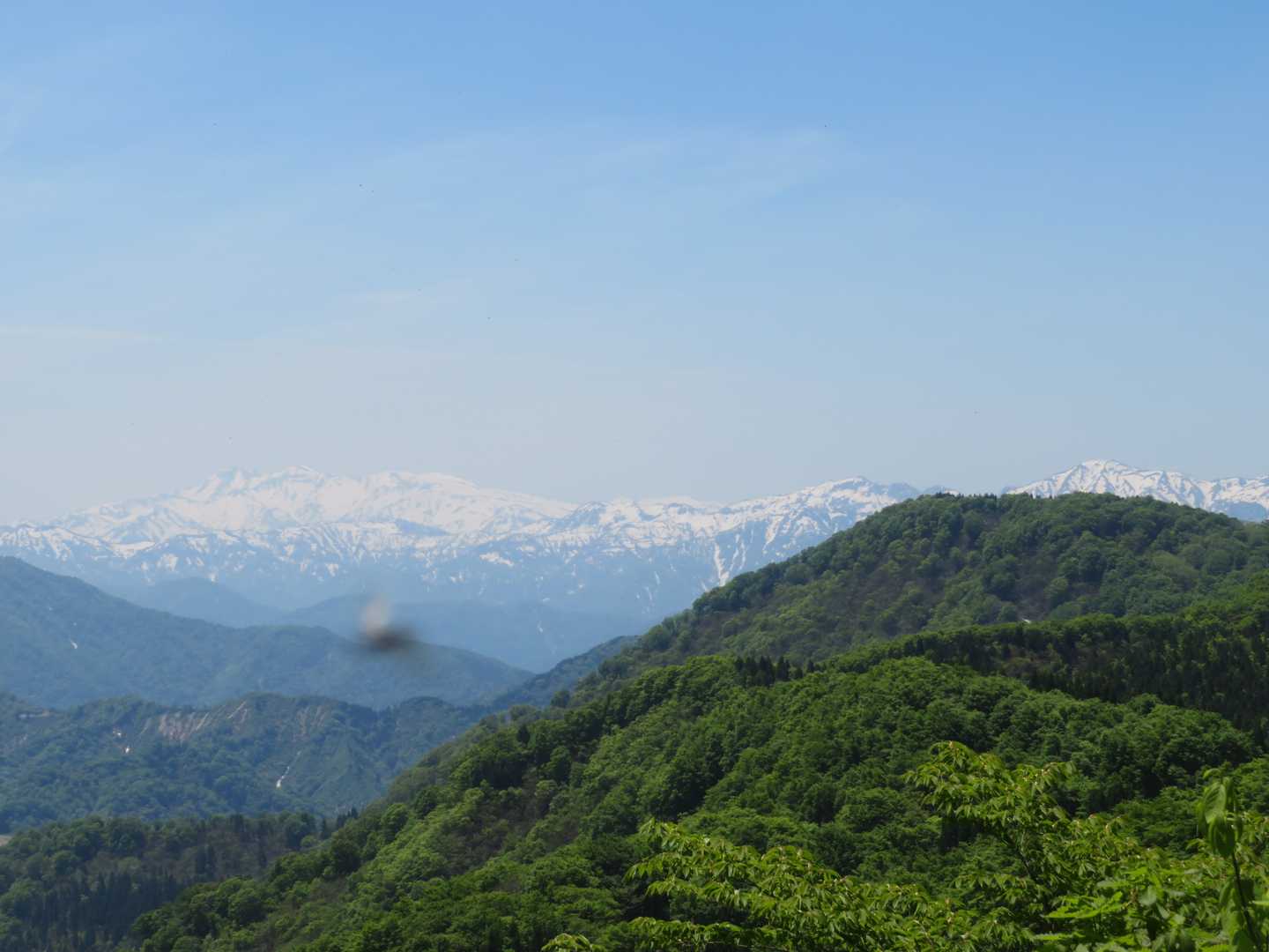 ここからは絶景、なんか虫🐝が入り込んだ💦奥の緑の山が後で登る高落葉山