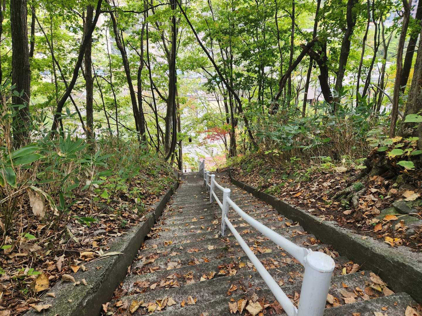 登りきって