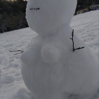 なんやこれ⁉😅