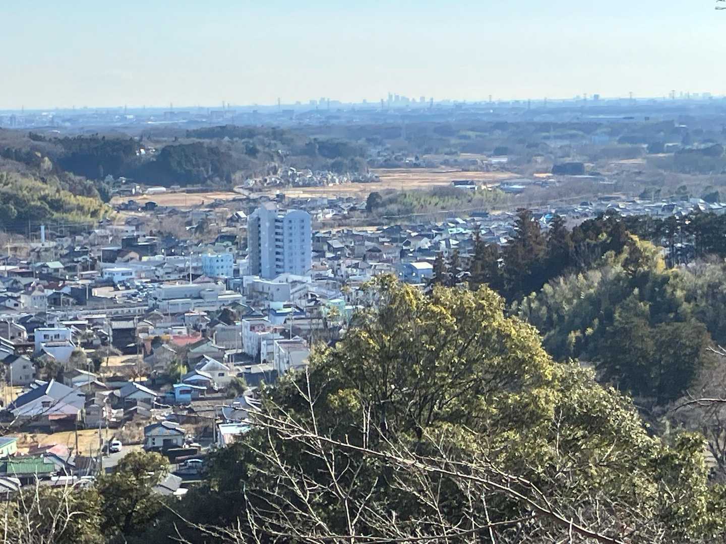 大観山-根っこ山-大高取山 往復コースの写真