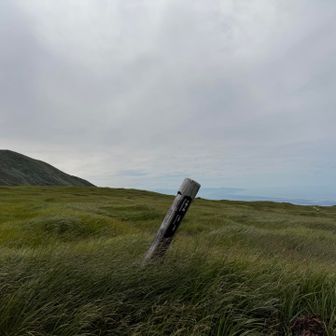 暗～い千畳ヶ原到着。
広ーい草原で一人。