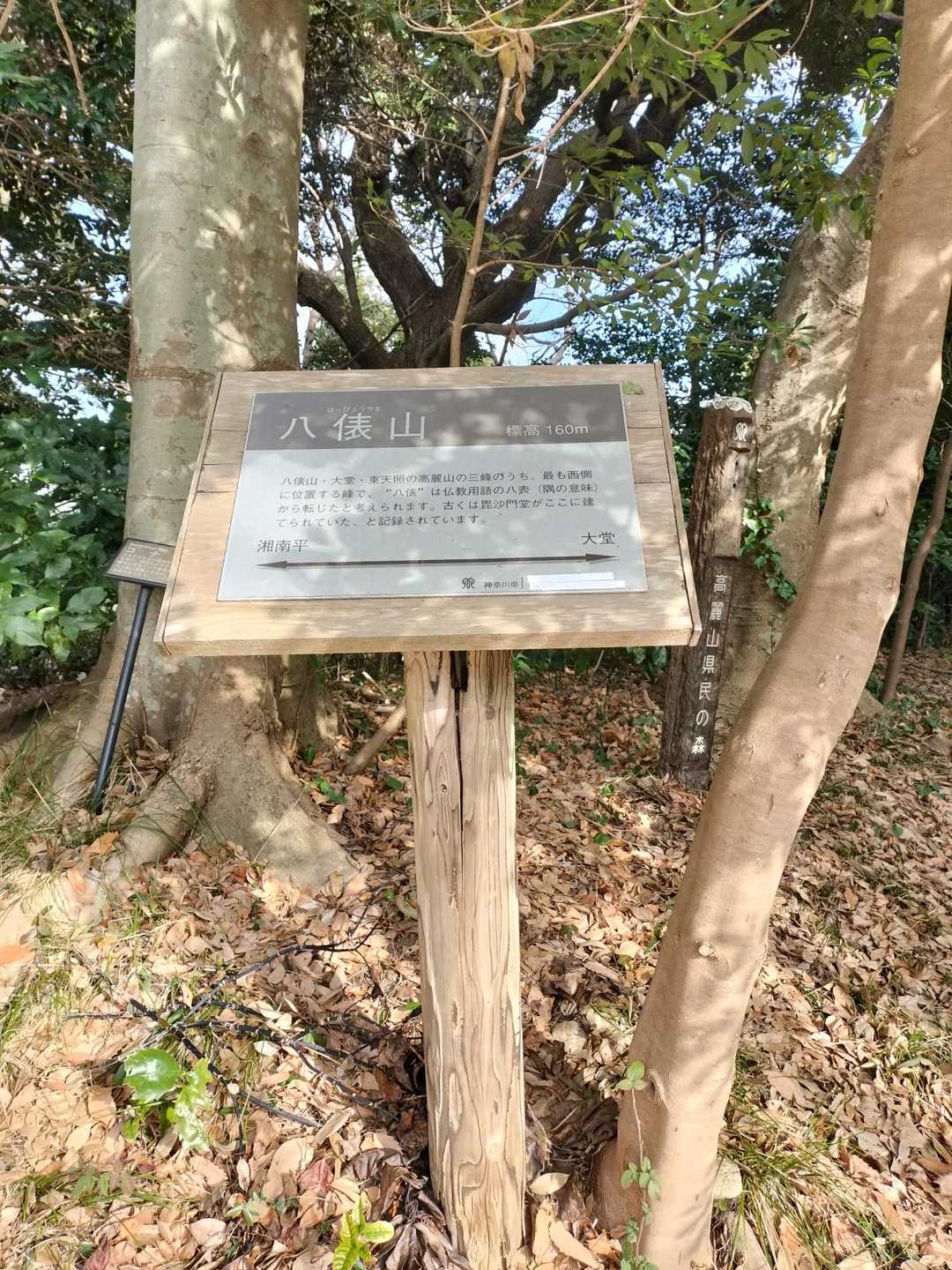 山頂！