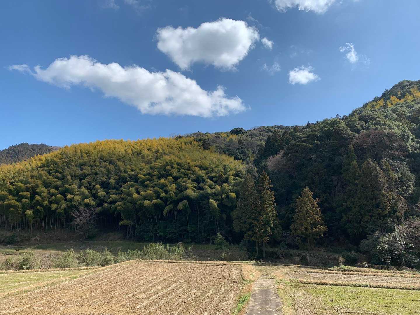 京羅木山-星上山 縦走コースの写真