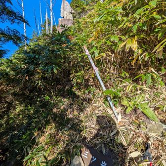 登山中は気づかなかったが、下山時に見つけました。この先の何でもないところで足をつまづき、ヘッドスライディング！右ひざ、右肩、右目の下辺りを地面にモロに打ちつけ、タッチアウト！幸い、すり傷のみで治まりました。油断禁物。😱