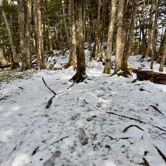 駒岩までは緩んだ雪道