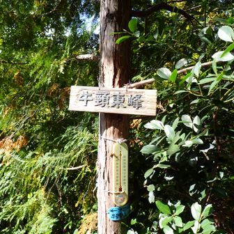 牛頸東峰到着