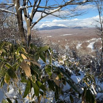 木の隙間から駒ヶ岳と湖を一望できる山でした✨