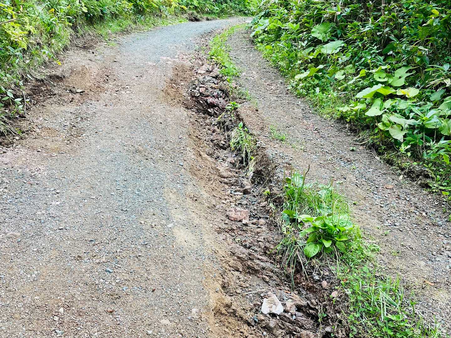 先日の大雨で、管理者道も水流でえぐれてます😭