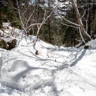 帰りも夏道かぁ、、と小峠まで来ると蓼の湖からのトレース跡が
どなたか存じ上げませんがありがたく頂戴します