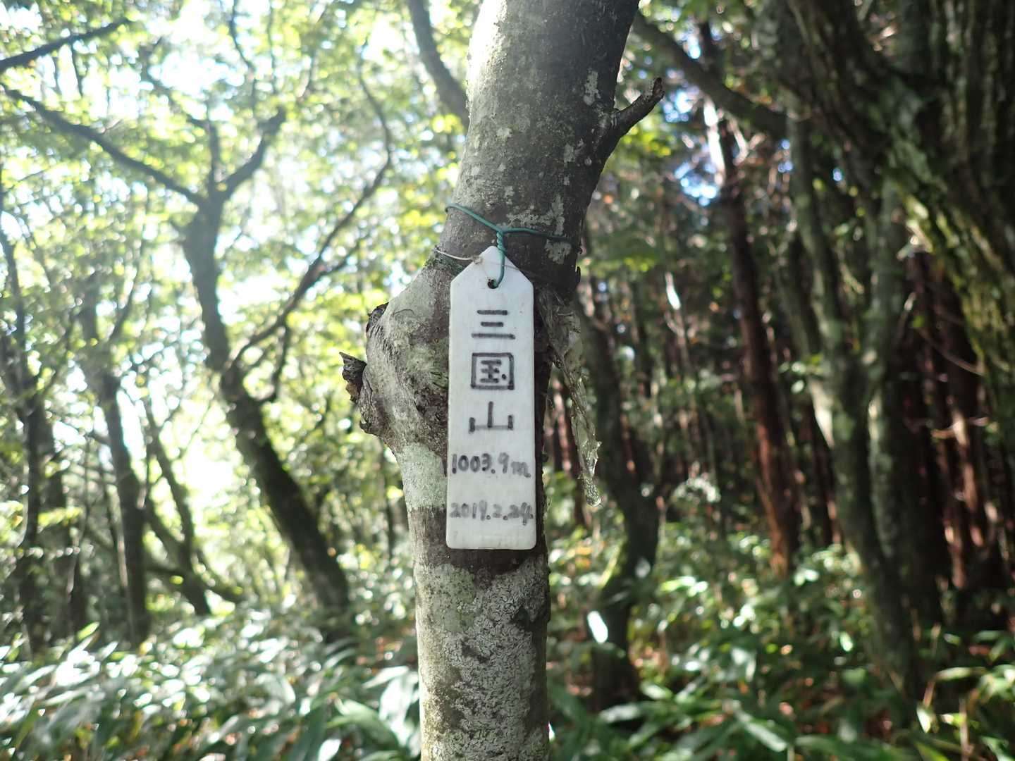 三国山　1003.9ｍ