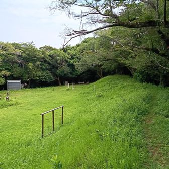 関東ふれあいの道を南下して程なく神揃山到着～

ここは平安時代から続く祭り場だそう
どこが山頂なのかもよくわからないですが、ベンチあります

が、ここからがマジ長い...
やっぱりJRの駅間は長い...
