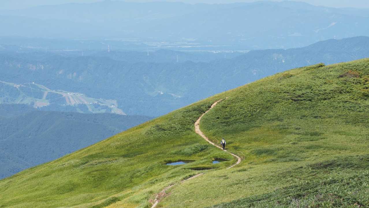 巻機山、夏空の夫婦登山 の写真 15