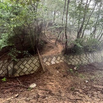 途中　未舗装の林道を横切ります