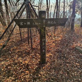 最初のピーク
気付かないで通ってたけど山頂表示あったのかな