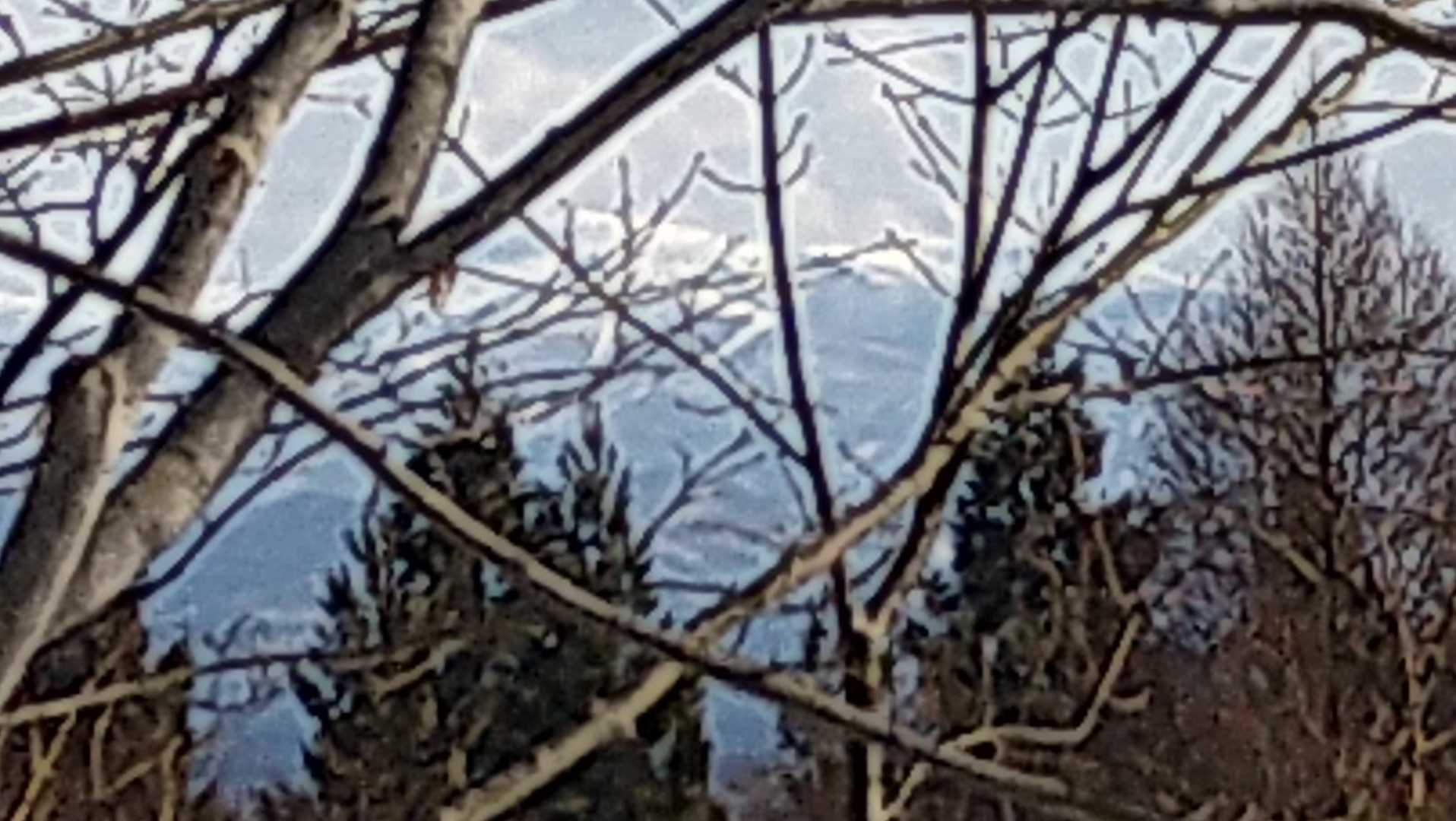 森吉山が見えるけど…写真に撮るのは枝が邪魔だなぁ〜😅