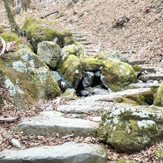 どの季節に来ても好き🫶