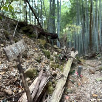 あっさりピーク