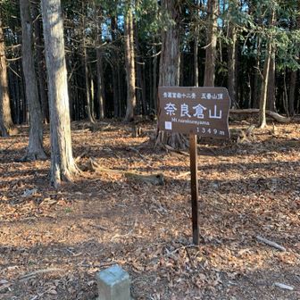 山頂到着。
木に囲まれてる。。。。