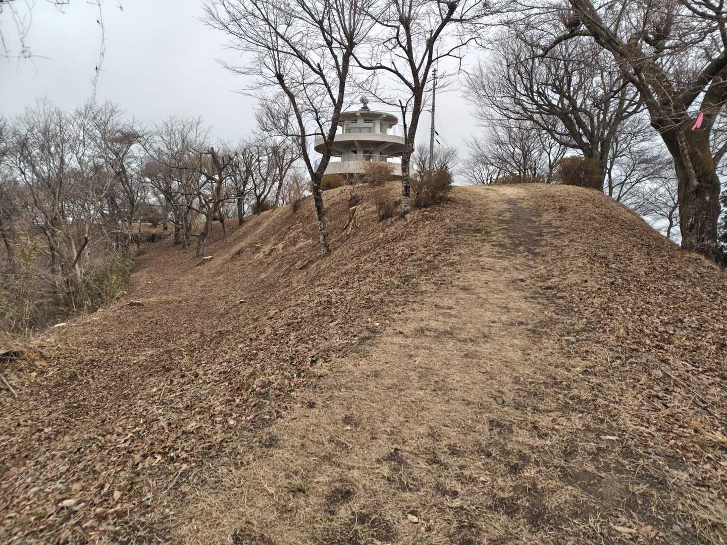 さっそく展望台