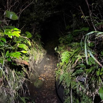 狭い。
すれ違えるか❓