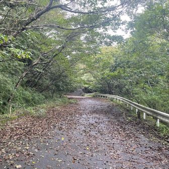 しばらく舗装路を下ります
