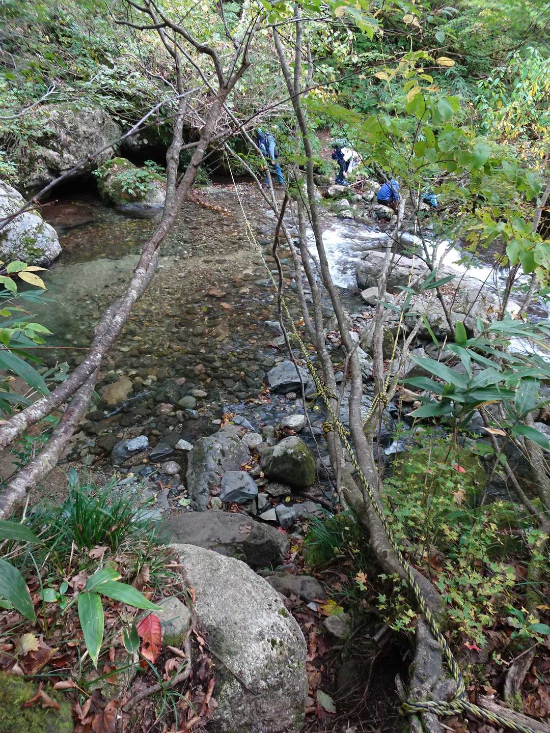 実はこの大源太山、渡渉が（軽いのを含めれば）3回あります。
これが1つめ！
一番濡れやすいかな、深い所でふくらはぎくらいあります。