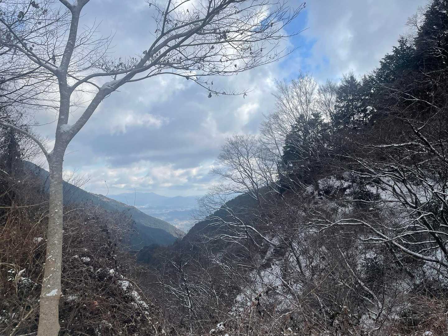 水越峠バス停-金剛山山頂売店-金剛山 縦走コースの写真