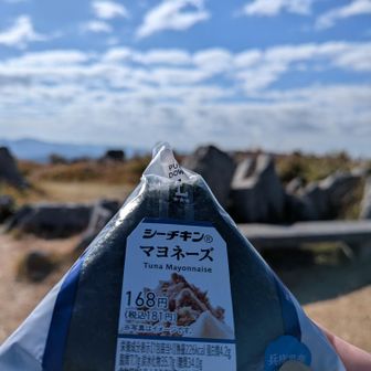 ☝️いつもの
　　🍙シ一チキンの
　　　　おむすびﾀﾞﾖ