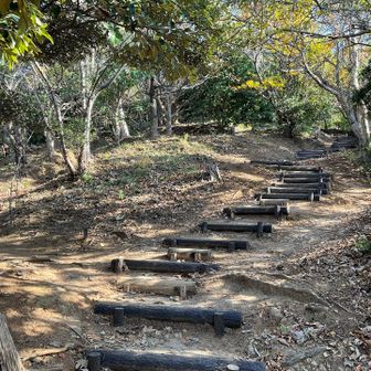 ほぼ下って来ました振り返りパシャ