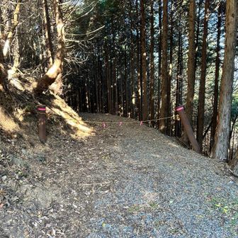 ロープを跨いで進みます