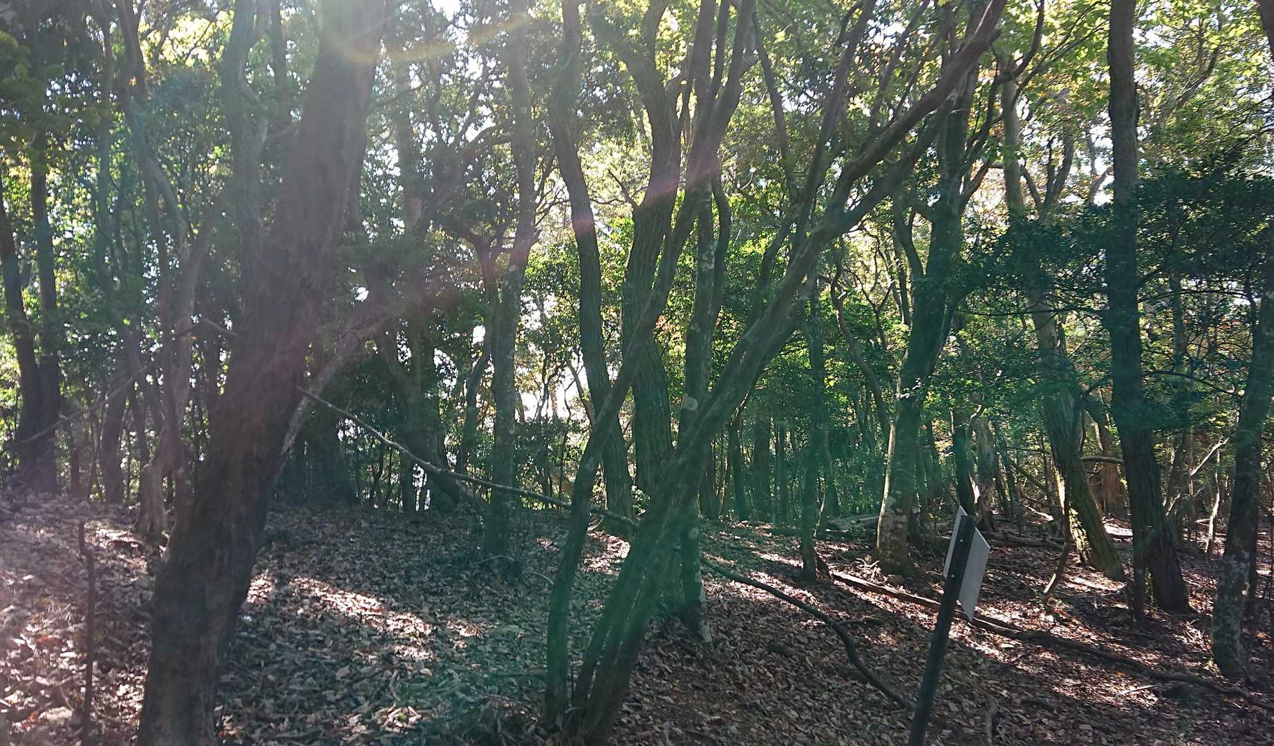 釈迦岳の広場。避暑地見たいな雰囲気。良く見ると、テーブル椅子あり。やはり。