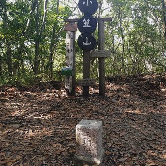 小笠山山頂
四等三角点