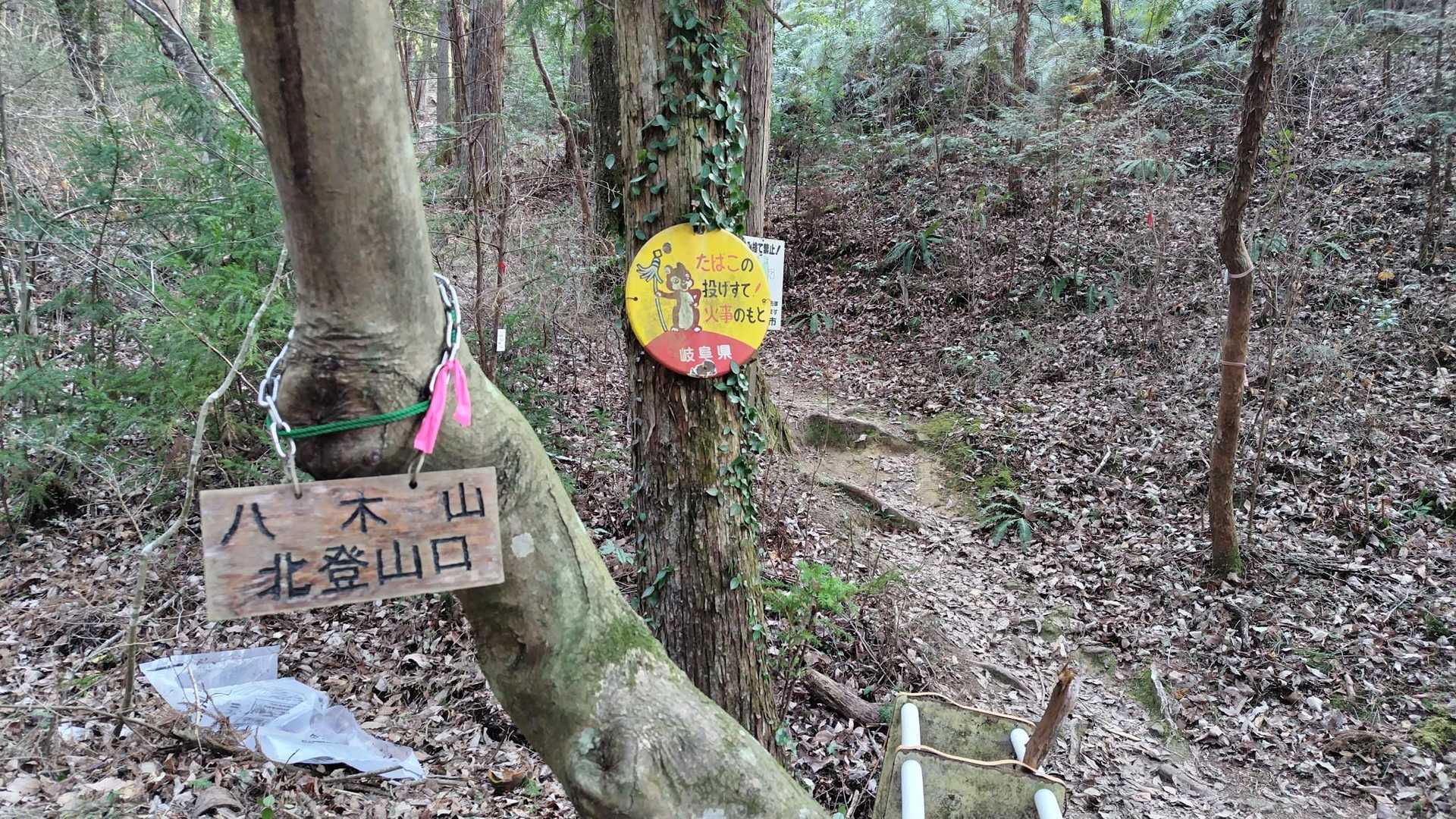 こちらから登ります🚶