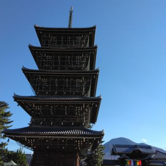 善通寺五重塔　迫力ある！
向こうに大麻山
寺は、お詣りの人で🙏ごった返し、屋台に行列も