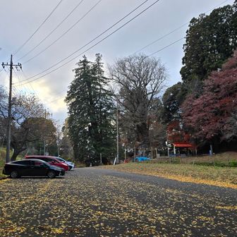 無事下山！ありがとうございました😃