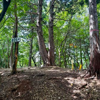 小島山山頂に到着❗️