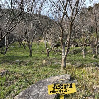 腹ごしらえした後は牛斬山、「長光新道、円陣の滝経由」へ向かいます☺️
春は、ここの桜を眺めて上がるのでしょうね^_^
初めてのコースです