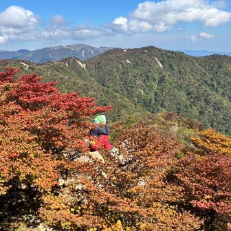 紅葉の中、段木眺める🤣
