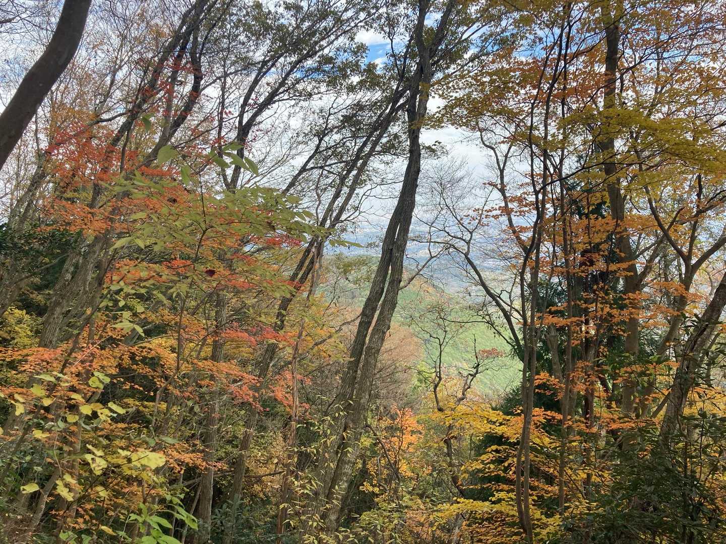 ところどころ紅葉🍁