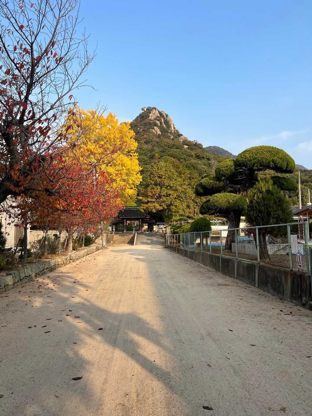 おはようございます‼️😊
本日は、広島のフォロワーさんとその山友さんお2人が右田ヶ岳⛰️に登るために遠路はるばるやって来られました♪^ ^
山口の山友さんと一緒に、広島からのお2人を案内させて頂きます‼️^ ^