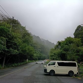 今日も雨です
