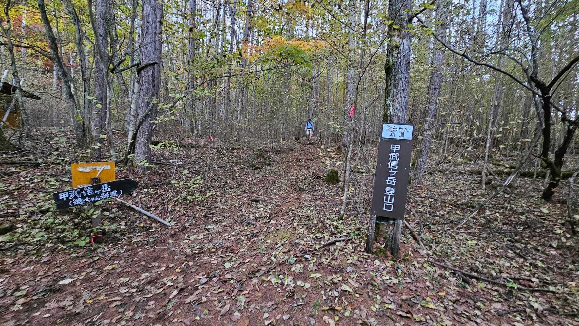 徳ちゃん新道登山口へ下山
ヘトヘト😵💦