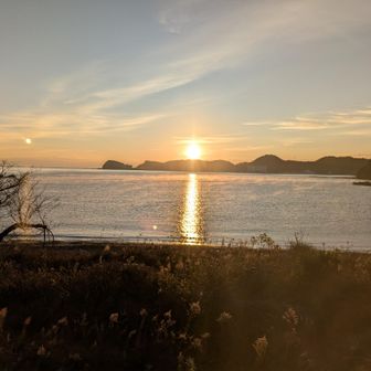 【5日目】
なち駅から始発に乗って