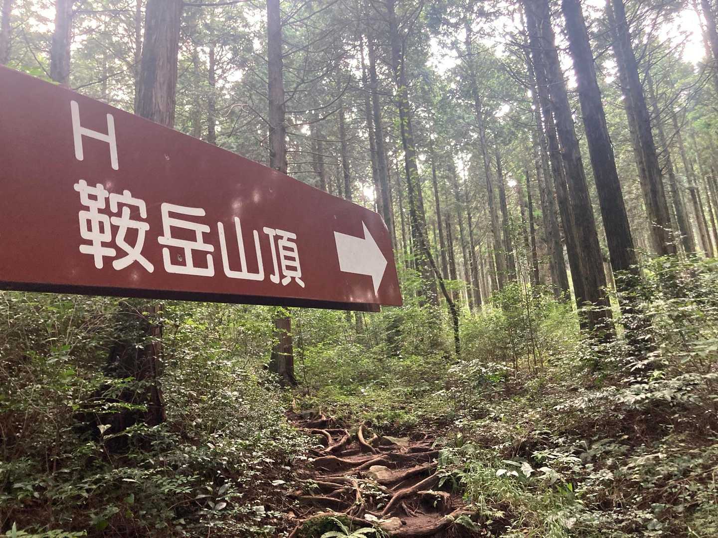 ぼちぼち行きましょ