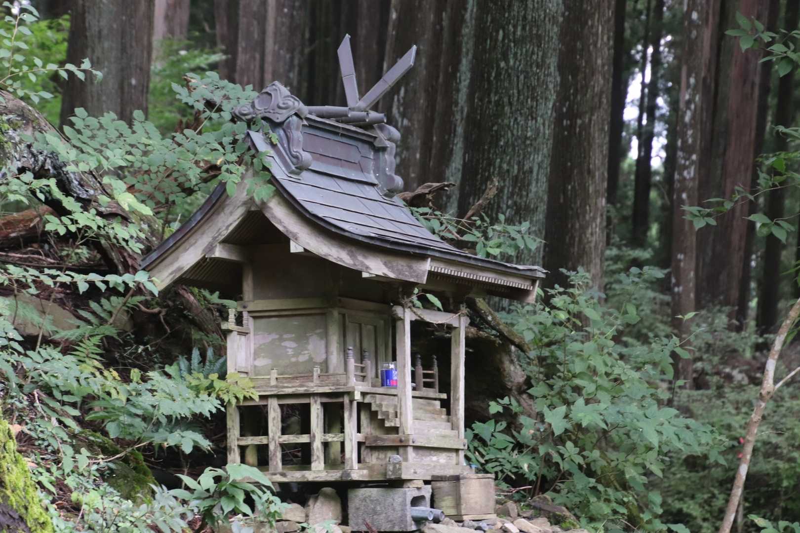 奥多摩駅〜鳩ノ巣駅｜本仁田山・鋸尾根・川苔山縦走コースの写真