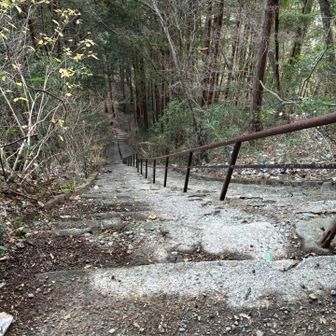 振り返ると階段落ちが頭をよぎる汗