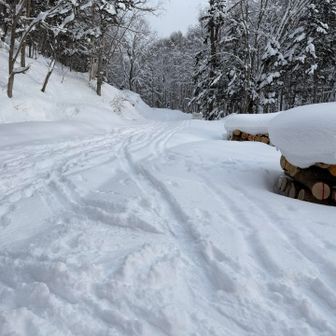 迷沢山登山口には車が停まってたので国際スキー場方向に５００m行った所の林道入り口に停めさせて頂きました🙏
９時過ぎくらいにスノーシュー御一行様の後ろ姿を見送って以来の丸太🪵
やっとスタートポイント来れた〜🥹
駐車場探しと移動で往復して約１時間潰した感じになります🤣