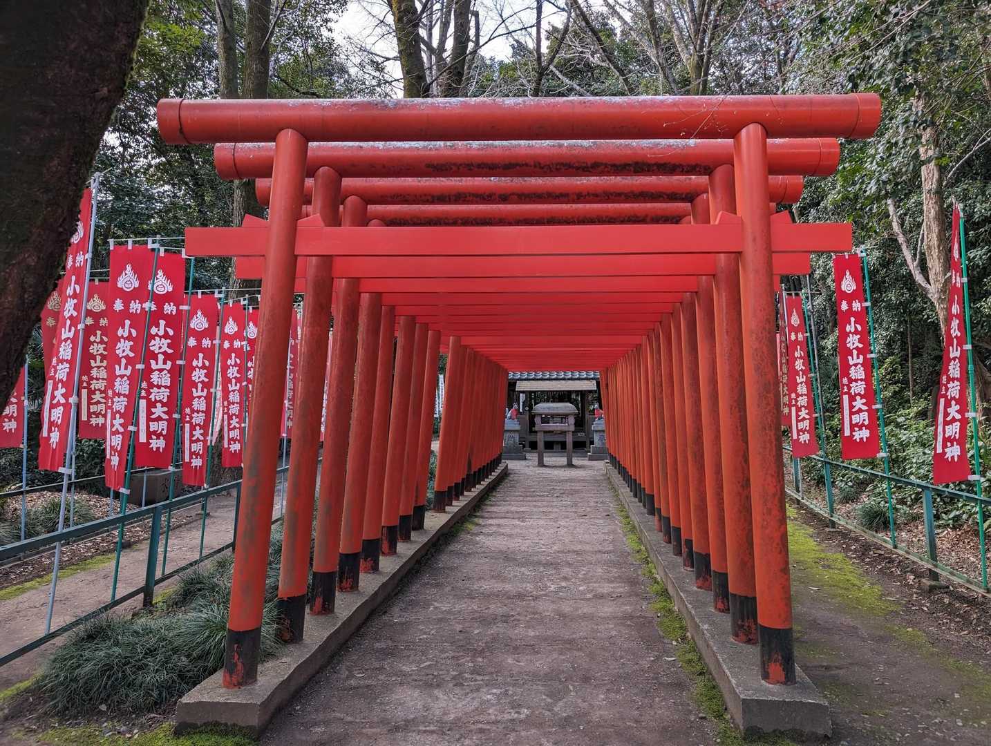 鳥居が沢山